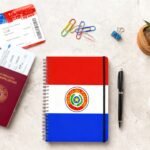 Imagem do Artigo Seguinte